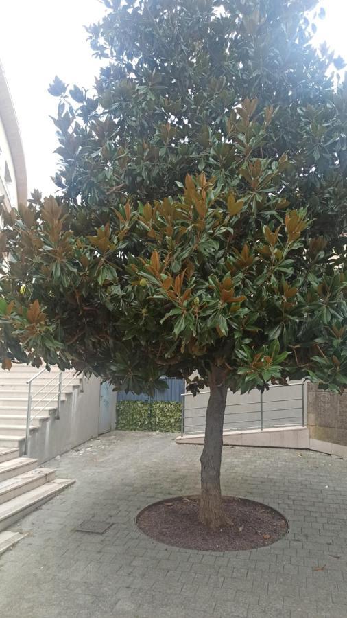 דירות מטרה Rosselli93 מראה חיצוני תמונה